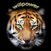 Avatar von willpower110